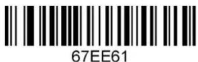 67EE61