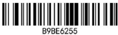 B9BE6255
