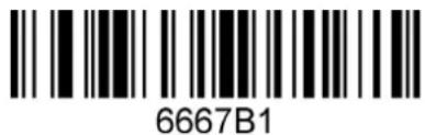 6667B1