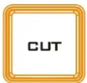 DataVideo SE-2600 - CUT Button - 1