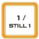 DataVideo SE-2600 - Still button - 1