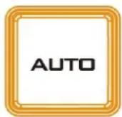 DataVideo SE-2600 - AUTO Button - 1