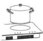 Thermex TH1INB 80 - Uso de la placa: - 2