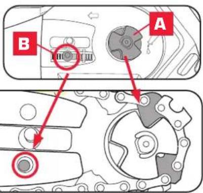 A B