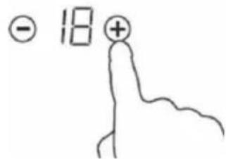 - 18 + ↑