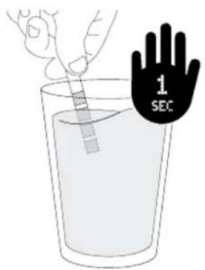 1 SEC