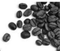 DUALIT Drip Through Coffee Filter - Dualit.Café - 1