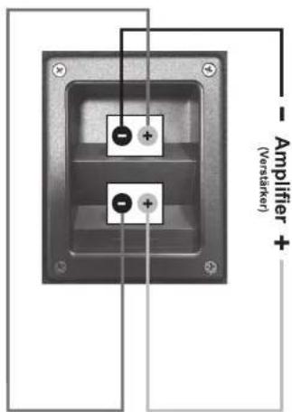 - Amplifier + (Verskärker)