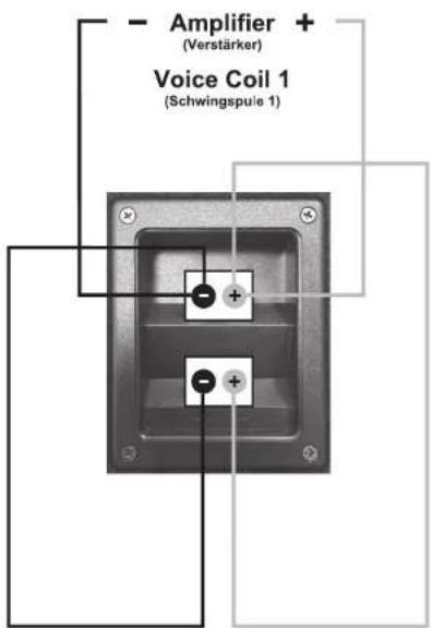 - Amplifier + (Verstärker) Voice Coil 1 (Schwingspule 1)