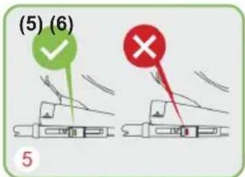 (5) (6) 5