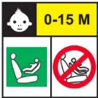 0-15 M No Dominant Seatbelt