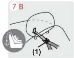 7 B (1)
