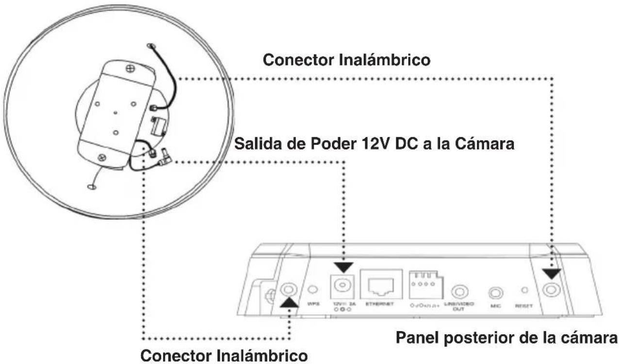 Conector Inalámbrico Salida de Poder 12V DC a la Cámara Conector Inalámbrico Panel posterior de la cámara