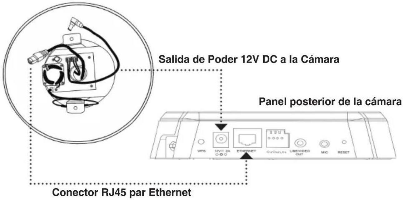 Salida de Poder 12V DC a la Cámara Panel posterior de la cámara Conector RJ45 par Ethernet
