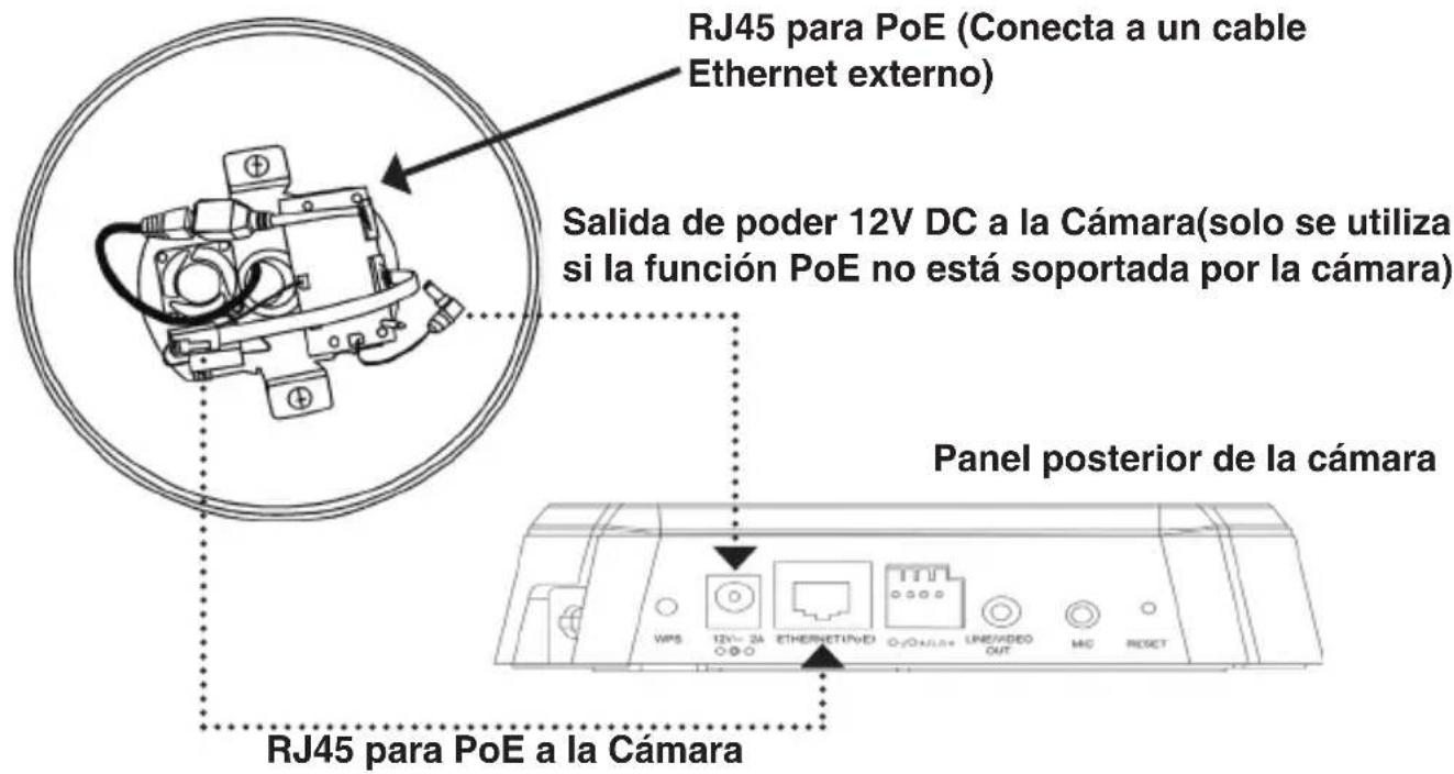 RJ45 para PoE (Conecta a un cable Ethernet externo) Salida de poder 12V DC a la Cámara(solo se utiliza si la función PoE no está soportada por la cámara) Panel posterior de la cámara RJ45 para PoE a la Cámara