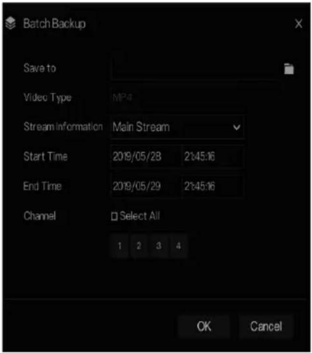 Batch Backup Save to Video Type MP4 Stream Information Main Stream Start Time 2019/05/28 21:45:16 End Time 2019/05/29 21:45:16 Channel Select All 1 2 3 4 OK Cancel