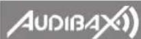 Audibax Detroit 1000X DSP - 4