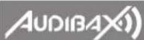 Audibax Detroit 1000X DSP - 1