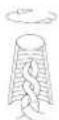 Livex Lighting Milford 4037-07 - CONNECTING THE WIRES (Fig.3) - 3