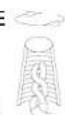 Livex Lighting Arabesque 41109-91 - ASSEMBLING THE FIXTURE (Fig.1) - 4