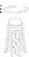 Livex Lighting Arabesque 41109-91 - ASSEMBLING THE FIXTURE (Fig.1) - 2