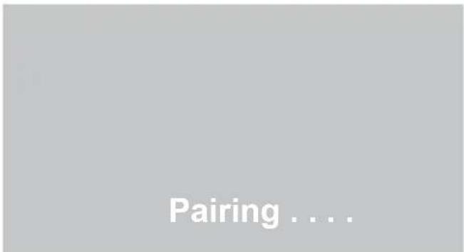 Pairing . . .