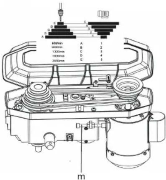 60mm 900mm 1300mm 1800mm 2600mm m A B C D E 1 2 3 4 5 6 7 8 9 10 11 12 13 14 15 16 17 18 19 20 21 22 23 24 25 26 27 28 29 30 31 32 33 34 35 36 37 38 39 40 41 42 43 44 45 46 47 48 49 50