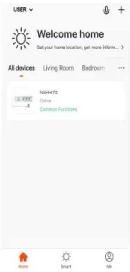 USER Welcome home Set your home location, get more inform... All devices Living Room Bedroom ... NO:4473 Online Common Functions Home Smart Me