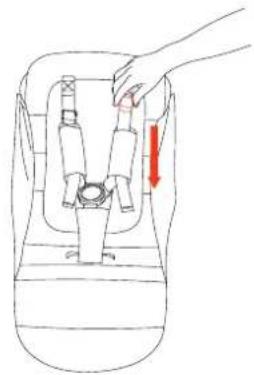 Anex iQ - IQ BUGGY - 2