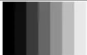 Kramer 860 - Grayscale 8 (3 variations) - 1