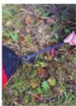 Hilleberg Nallo 2 - Hilleberg Nallo - 7