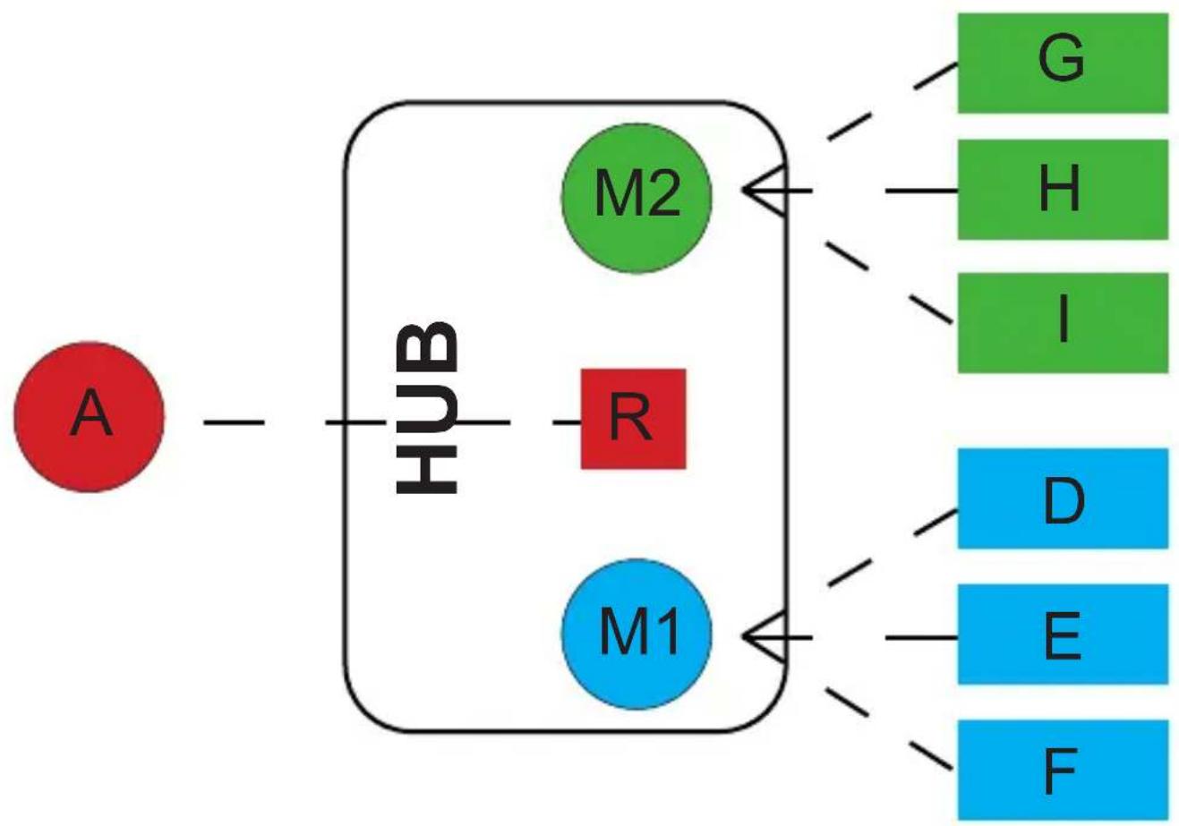 graph TD A["A"] --> HUB["HUB"] HUB --> M2["M2"] HUB --> R["R"] HUB --> M1["M1"] M2 --> G["G"] M2 --> H["H"] M2 --> I["I"] M1 --> D["D"] M1 --> E["E"] M1 --> F["F"]