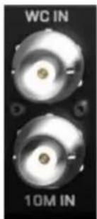 Antelope Audio Orion 32+ Gen 4 - Word Clock Outputs - 1