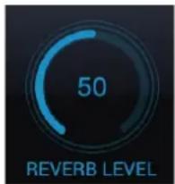 50 REVERB LEVEL