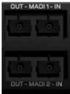 Antelope Audio Orion 32+ Gen 4 - MADI 接続 - 1