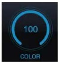 100 COLOR