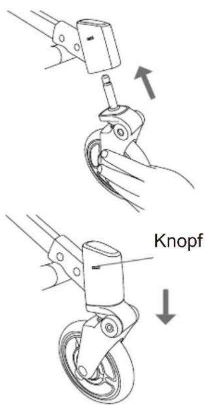 Knopf