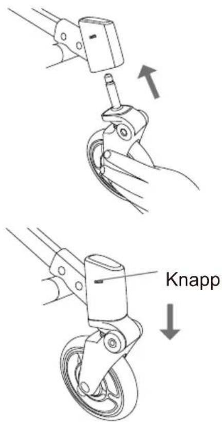 Knapp