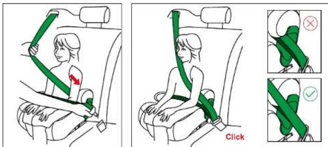 Beemoo Raise - INSTALLATION ISOFIX + TREPUNKTSBÄLTE - 1