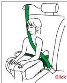 Beemoo Raise - MONTERING MED ISOFIX + TREPUNKTSSELE - 2