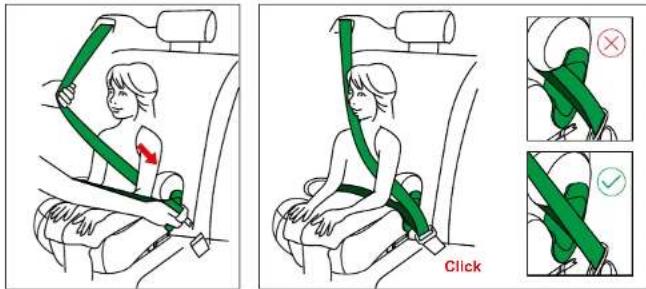 Illustration showing car seatbelt usage instructions with green bands and a 'Click' button, accompanied by three instructional diagrams.