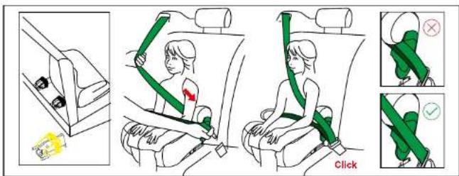 Beemoo Raise - SPÄNN FAST MED ISOFIX + TREPUNKTSBÄLTE - 1