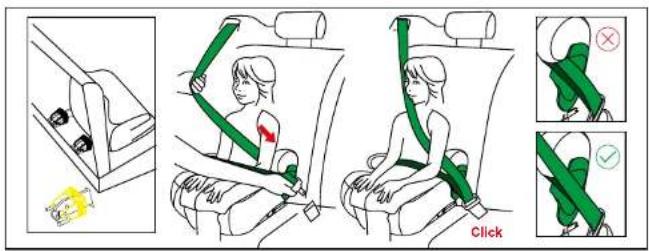 Beemoo Raise - ANSCHNALLEN MIT ISOFIX + 3-PUNKT-SICHERHEITSGURT - 1