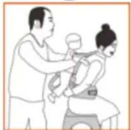Beemoo Care Carry Comfort - Bæreposition ryg - 3