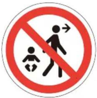 Beemoo PLAY Dally Babysitter - Bruk sikkerhetsselen for å unngå fallskader, kvelning og dødsfall. - 1