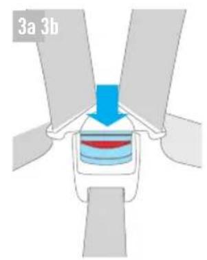 3a 3b