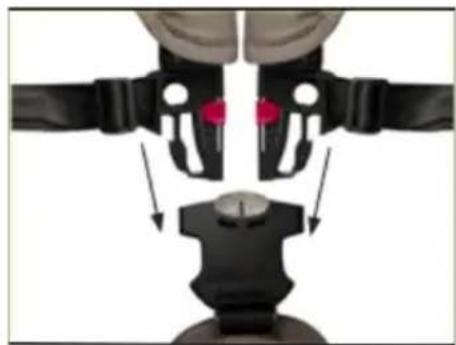 Beemoo Sporty Trail - Use of the Safety Belt - 1