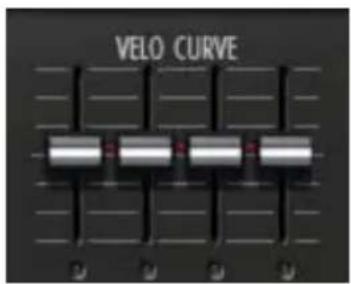 VELO CURVE
