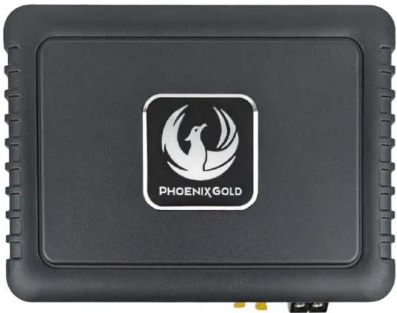 PHOENIX GOLD ZDAP-HYKI1 - PHOENIX GOLD - 2