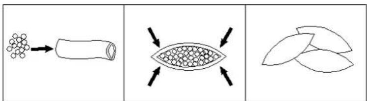 Diagram illustrating three stages of a biological process: cell division, eye formation, and resulting cross-sections.